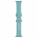 Double Wear Rivets Watch Band For Series 7 41mm / 6 & SE & 5 & 4 40mm / 3 & 2 & 1 38mm(Pine Needle Green)