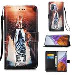 For Xiaomi Mi 11 Pro Colored Drawing Pattern Plain Weave Horizontal Flip Leather Case with Holder & Card Slot & Wallet & Lanyard(Cats And Tigers)