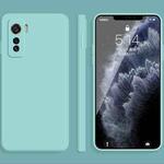 For vivo IQOO 5 Solid Color Imitation Liquid Silicone Straight Edge Dropproof Full Coverage Protective Case(Sky Blue)