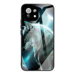 For Xiaomi Mi 11 Pro Colorful Painted Glass Shockproof Protective Case(Wolf)