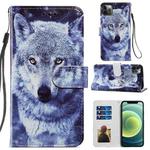 For iPhone 12 Pro Max Painted Pattern Horizontal Flip Leather Case with Holder & Card Slots & Photo Frame(White Wolf)