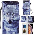 For iPhone X / XS Painted Pattern Horizontal Flip Leather Case with Holder & Card Slots & Photo Frame(White Wolf)