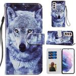 For Samsung Galaxy S21+ 5G Painted Pattern Horizontal Flip Leather Case with Holder & Card Slots & Photo Frame(White Wolf)