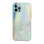 For iPhone 12 Pro Laser Marble Pattern Clear TPU Shockproof Protective Case(Gray)
