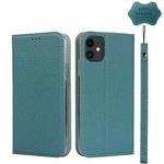 For iPhone 11 Litchi Genuine Leather Phone Case (Sky Blue)