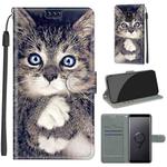 For Samsung Galaxy S9 Voltage Colored Drawing Magnetic Clasp Horizontal Flip PU Leather Case with Holder & Card Slots(C02 Fork Hand White Claw Cat)
