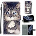 For iPhone 11 Pro Voltage Colored Drawing Magnetic Clasp Horizontal Flip PU Leather Case with Holder & Card Slots (C02 Fork Hand White Claw Cat)