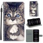 For iPhone 12 / 12 Pro Voltage Colored Drawing Magnetic Clasp Horizontal Flip PU Leather Case with Holder & Card Slots(C02 Fork Hand White Claw Cat)