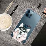 For iPhone 13 Pro Painted Pattern High Transparent TPU Protective Case (Pinch Face Dog)