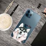 For iPhone 13 Pro Max Painted Pattern High Transparent TPU Protective Case (Pinch Face Dog)