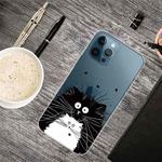 For iPhone 13 Pro Max Painted Pattern High Transparent TPU Protective Case (Black and White Rat)