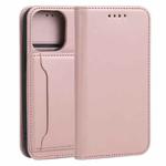 For iPhone 13 Pro Strong Magnetism Shockproof Horizontal Flip Liquid Feel Leather Case with Holder & Card Slots & Wallet (Rose Gold)