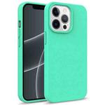 For iPhone 13 Pro Starry Series Shockproof Straw Material + TPU Protective Case (Green)