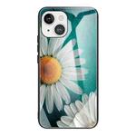 For iPhone 13 mini Colorful Painted Glass Shockproof Protective Case (Chamomile)