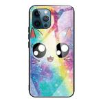 For iPhone 13 Pro Colorful Painted Glass Shockproof Protective Case (Big Eyes Animal)