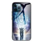 For iPhone 13 Pro Colorful Painted Glass Shockproof Protective Case (Starry Lion)