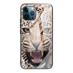 For iPhone 13 Pro Colorful Painted Glass Shockproof Protective Case (Leopard)