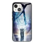 For iPhone 13 Pro Max Colorful Painted Glass Shockproof Protective Case (Starry Lion)