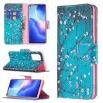 For OPPO Reno5 Pro Colored Drawing Pattern Horizontal Flip Leather Case with Holder & Card Slots & Wallet(Plum Blossom)