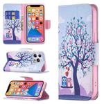 For iPhone 13 Pro Max Colored Drawing Pattern Horizontal Flip Leather Case with Holder & Card Slots & Wallet (Two Owls)