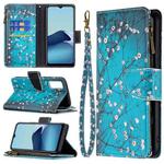 For vivo Y20 Colored Drawing Pattern Zipper Horizontal Flip Leather Case with Holder & Card Slots & Wallet(Plum Blossom)