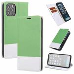 For iPhone 13 Pro Max Cross Texture Color Matching Strong Magnetic Horizontal Flip Leather Case with Card Slots & Holder & Wallet (Green)