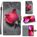 For iPhone 13 Voltage Colored Drawing Magnetic Clasp Horizontal Flip PU Leather Case with Holder & Card Slots(C14 Black Water Drop Rose)