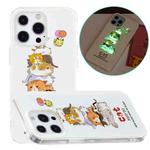 For iPhone 13 Pro Luminous TPU Soft Protective Case (Cats)