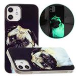 For iPhone 12 / 12 Pro Luminous TPU Pattern Soft Protective Case(Glasses Dog)