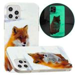 For iPhone 12 Pro Max Luminous TPU Pattern Soft Protective Case(White Fox)