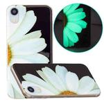 For iPhone XR Luminous TPU Pattern Soft Protective Case(Daisies)