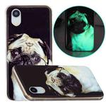 Luminous TPU Pattern Soft Protective Case For iPhone XR(Glasses Dog)