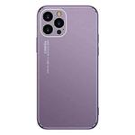 Cool Frosted Metal TPU Shockproof Case For iPhone 12 Pro Max(Purple)