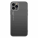 Cool Frosted Metal TPU Shockproof Case For iPhone 11(Black)