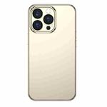 For iPhone 13 Pro TOTUDESIGN AA-155 Soft Jane Series Hardcover Edition Shockproof Electroplating TPU Protective Case (Gold)