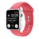 Double Nail Silicone Strap Watch Band For Apple Watch Series 8&7 41mm / SE 2&6&SE&5&4 40mm / 3&2&1 38mm(Watermelon Pink)