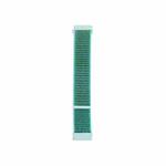 For Samsung Galaxy Watch4 Classic/Watch4 Nylon Loop Watch Band(Spcarmint)