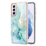 For Samsung Galaxy S21+ 5G Electroplating Marble Pattern Dual-side IMD TPU Shockproof Case(Green 003)