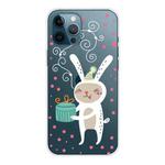 For iPhone 13 Pro Christmas Series Transparent TPU Protective Case (Gift Rabbit)