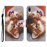 For Samsung Galaxy A10 / M10 Painted Pattern Horizontal Flip Leather Case with Holder & Card Slot & Wallet(Butterfly Cat)