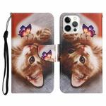 For iPhone 13 Pro Max Painted Pattern Horizontal Flip Leather Case with Holder & Card Slot & Wallet (Butterfly Cat)