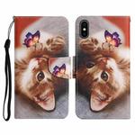 For iPhone XS Max Painted Pattern Horizontal Flip Leather Case with Holder & Card Slot & Wallet(Butterfly Cat)