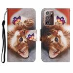 For Samsung Galaxy Note20 Ultra Painted Pattern Horizontal Flip Leather Case with Holder & Card Slot & Wallet(Butterfly Cat)