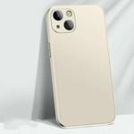 AG Matte Glass Liquid Silicone Skin Feel Magsafe Phone Case For iPhone 13 mini(Antique White)