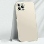 AG Matte Glass Liquid Silicone Skin Feel Magsafe Phone Case For iPhone 13 Pro(Antique White)