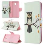 For Xiaomi Redmi 8A Colored Drawing Pattern Horizontal Flip Leather Case with Holder & Card Slots & Wallet(Tree Owl)