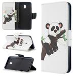 For Xiaomi Redmi 8A Colored Drawing Pattern Horizontal Flip Leather Case with Holder & Card Slots & Wallet(Tree Panda)