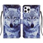 For iPhone 13 Pro Max Painted Pattern Horizontal Flip Leather Case with Holder & Card Slots & Photo Frame (White Wolf)