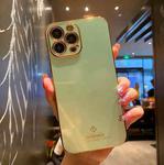 Electroplating Metal Frame Precise Hole TPU Protective Case For iPhone 13 Pro(Green)