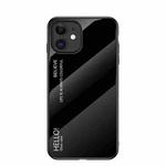 Gradient Color Painted TPU Edge Glass Case For iPhone 12(Elegant Black)